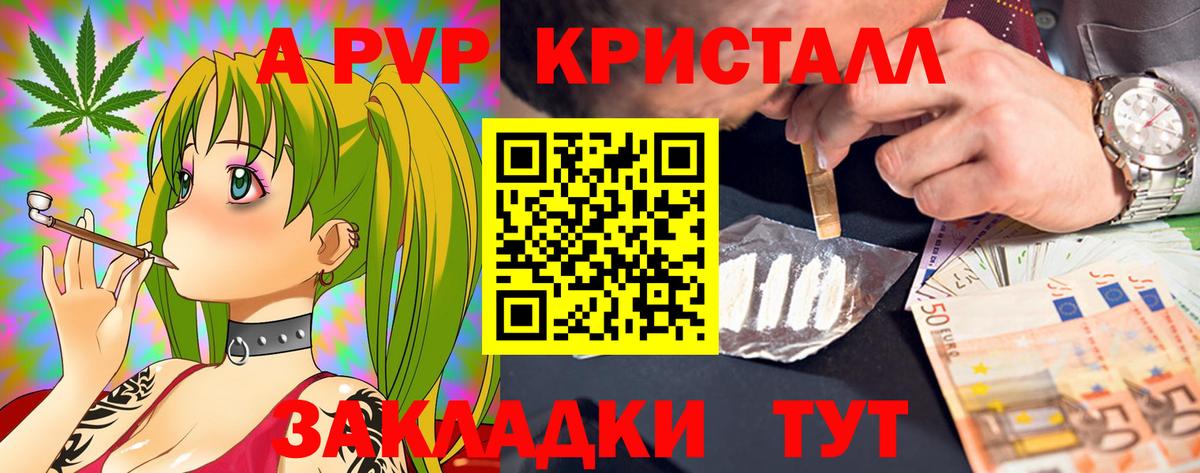 даркнет сайт  A PVP крисы CK  A-PVP СК КРИС  Вход с VPN  Королёв  А ПВП СК КРИС 