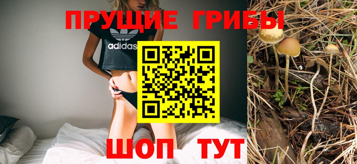 Псилоцибиновые грибы Magic Shrooms Королёв